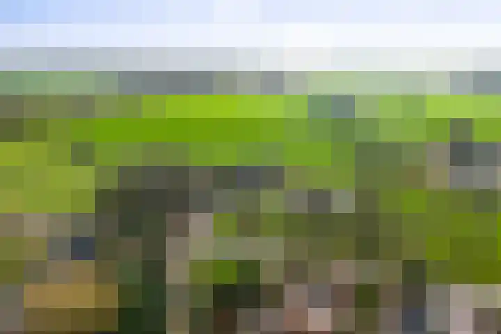 Vundelaarsweg 8 Wilp thumbnail 52