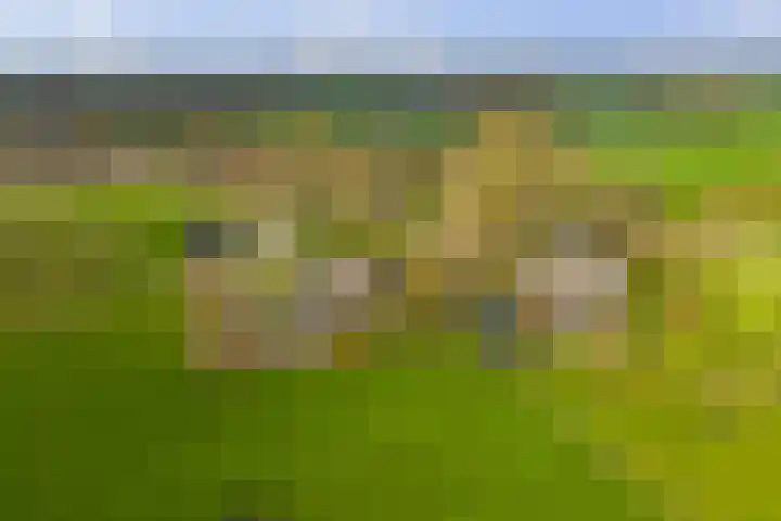 Vundelaarsweg 8 Wilp thumbnail 53