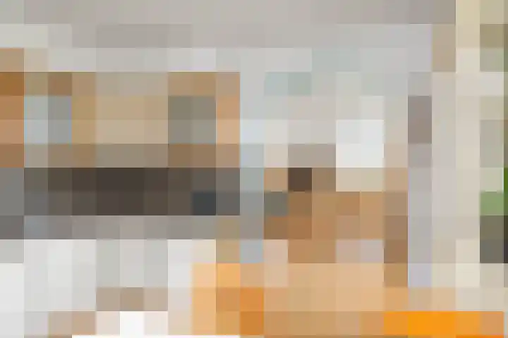 Vundelaarsweg 8 Wilp thumbnail 9