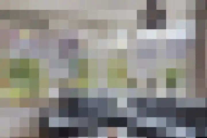 Vunderke 16 Uden thumbnail 11
