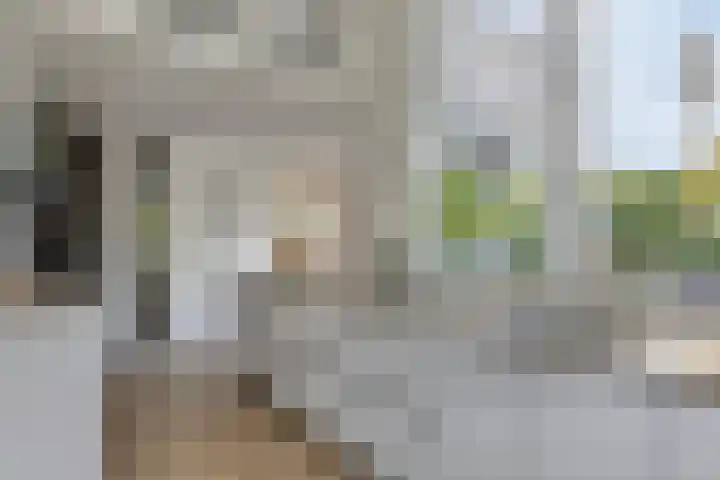 Vunderke 16 Uden thumbnail 18