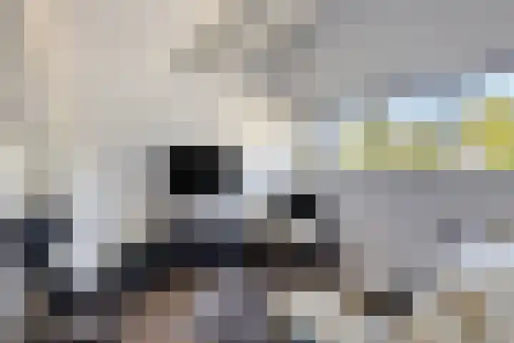 Vunderke 16 Uden thumbnail 34