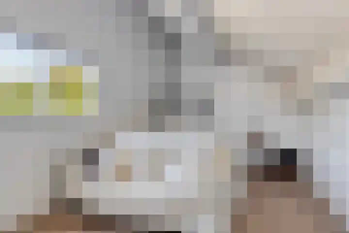 Vunderke 16 Uden thumbnail 35