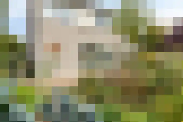 Vunderke 16 Uden thumbnail 38
