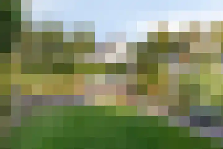 Vunderke 16 Uden thumbnail 39