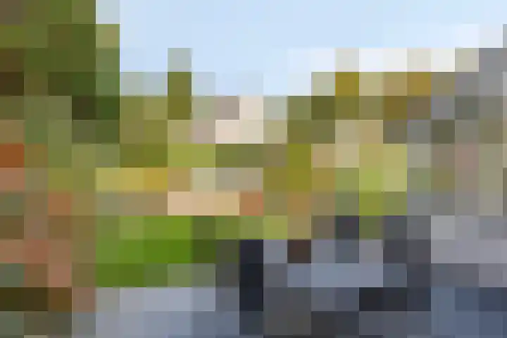 Vunderke 16 Uden thumbnail 41