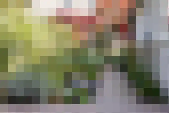 Vunderke 16 Uden thumbnail 44