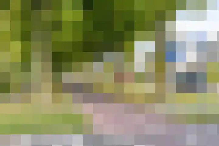 Vunderke 16 Uden thumbnail 47
