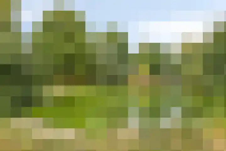 Vunderke 16 Uden thumbnail 48