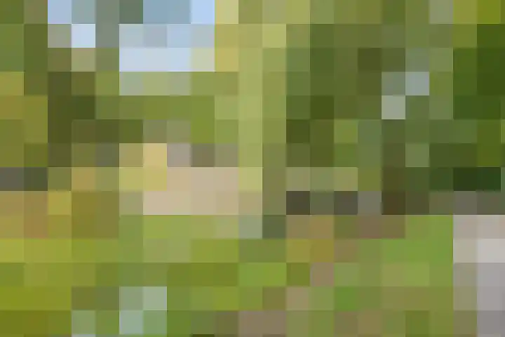 Vunderke 16 Uden thumbnail 49