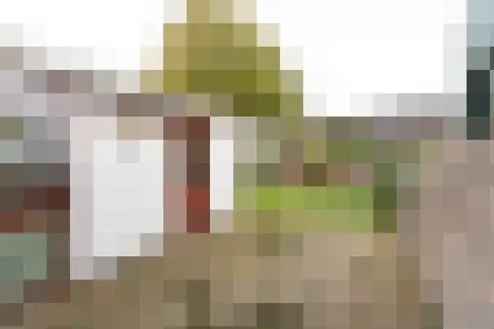 Vuntuslaan 44 Loosdrecht thumbnail 20