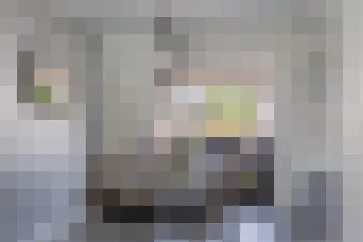 Vuntuslaan 53 Loosdrecht thumbnail 12