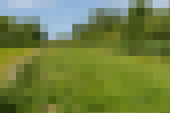 Vuntuslaan 53 Loosdrecht thumbnail 60