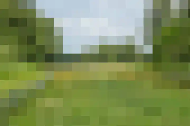 Vuntuslaan 53 Loosdrecht thumbnail 63