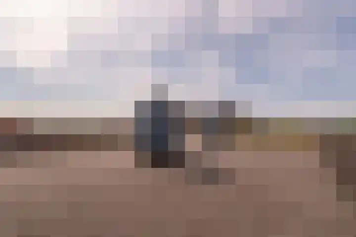 Vurehout 11 Zaandam thumbnail 11