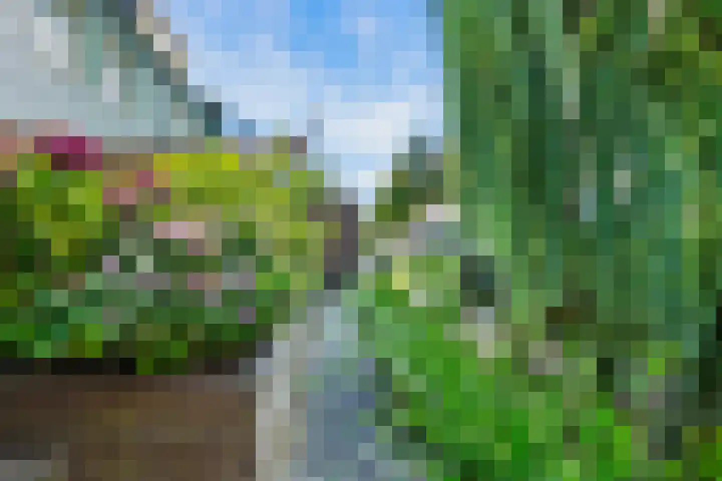 Vurehout 110 Zaandam thumbnail 13