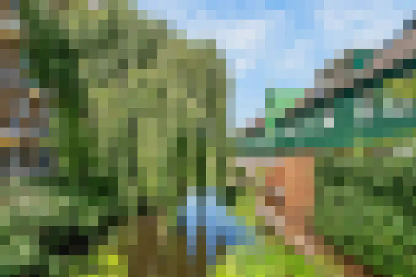 Vurehout 110 Zaandam thumbnail 14
