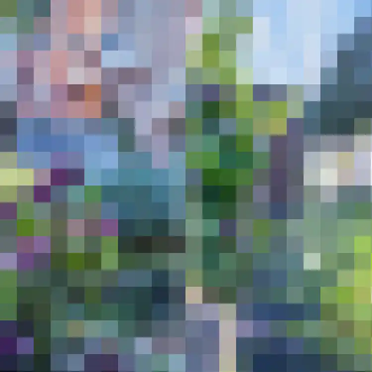Vurehout 110 Zaandam thumbnail 15