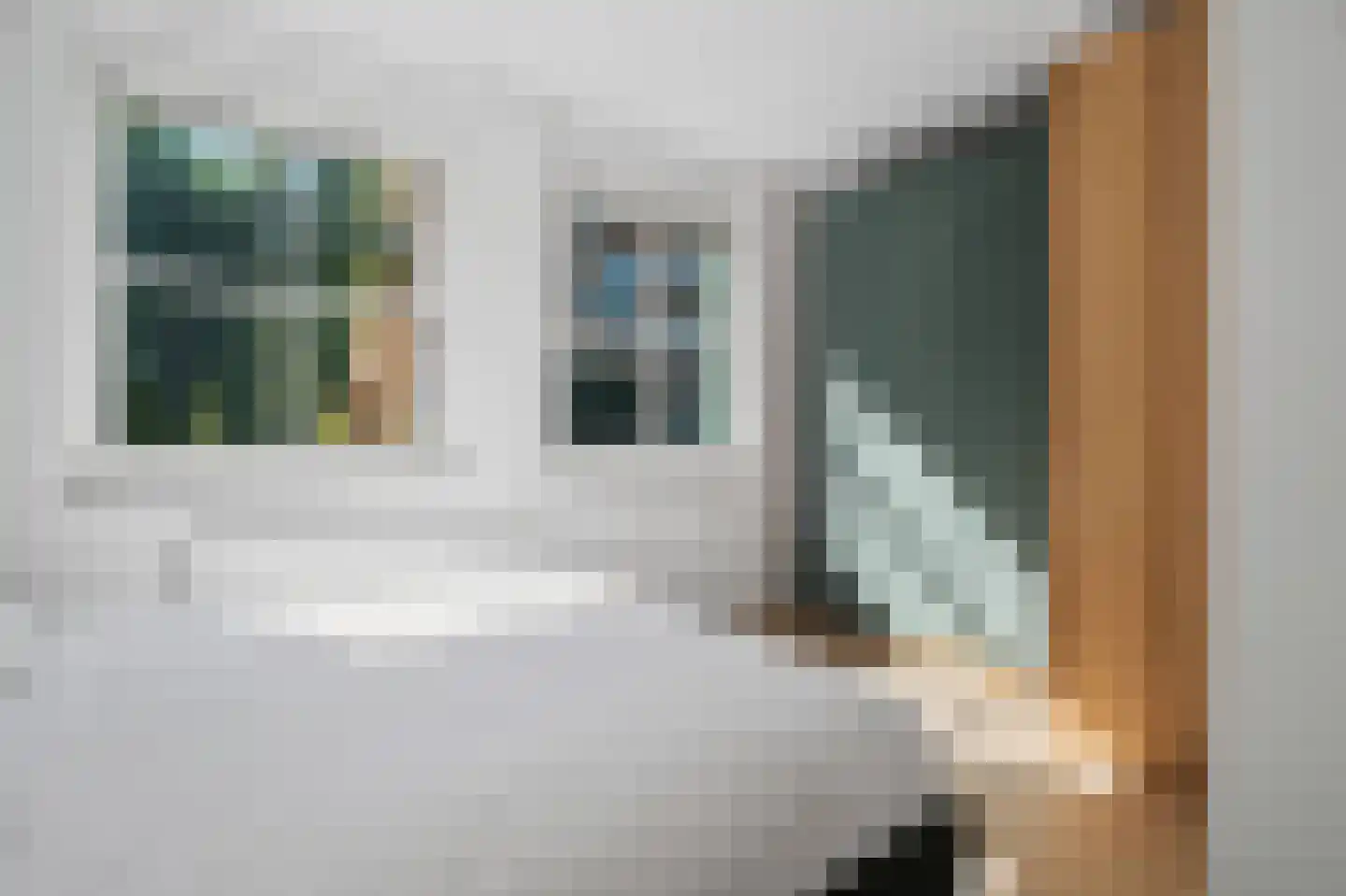 Vurehout 110 Zaandam thumbnail 19