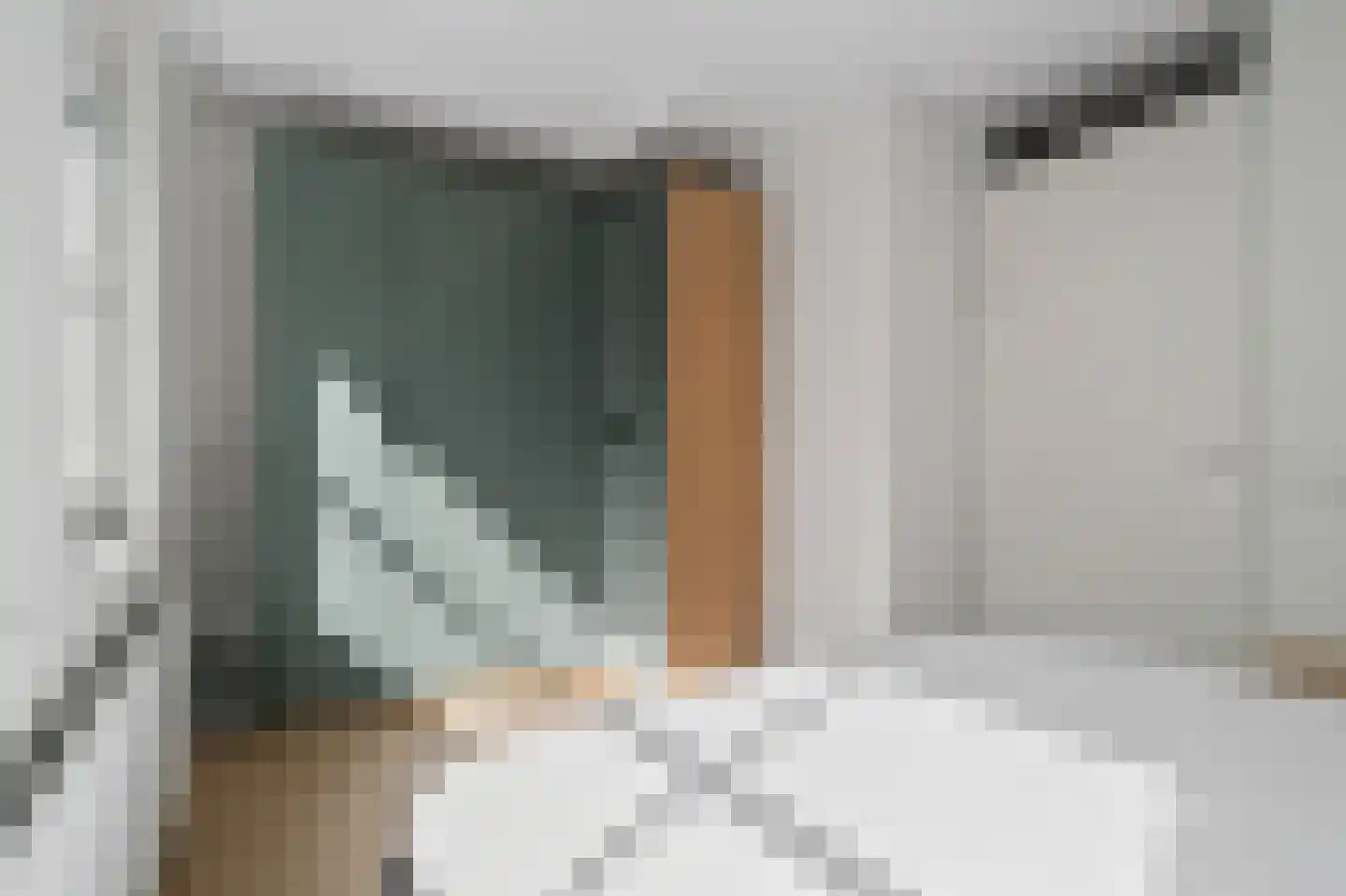 Vurehout 110 Zaandam thumbnail 20