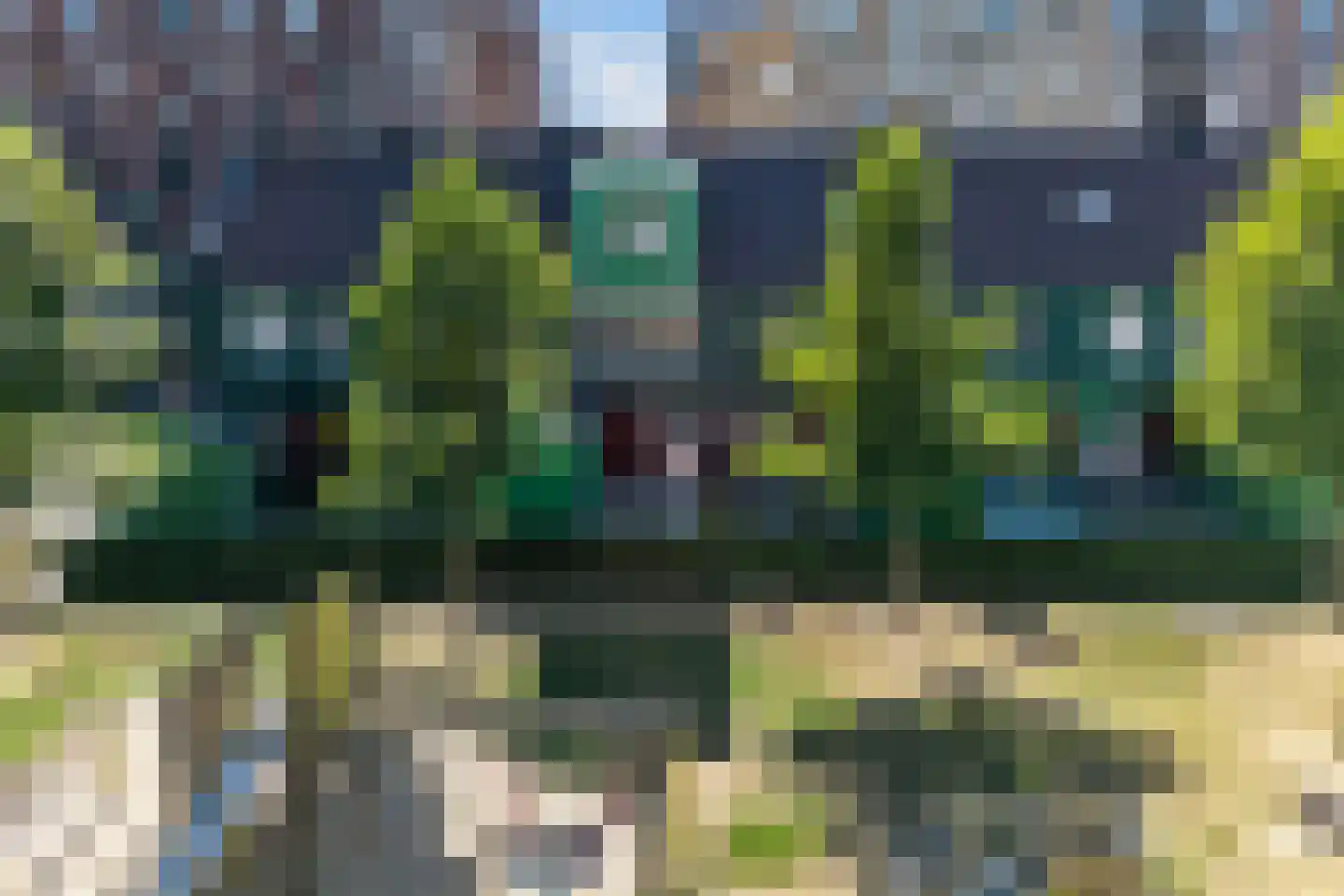 Vurehout 110 Zaandam thumbnail 36