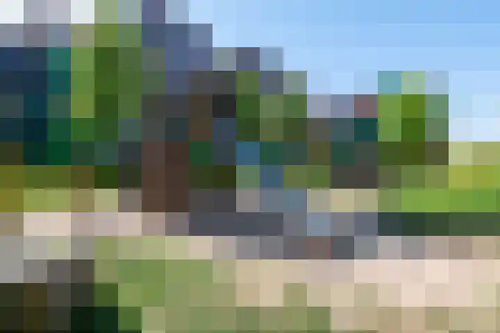 Vurehout 114 Zaandam thumbnail 34
