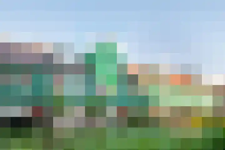 Vurehout 114 Zaandam thumbnail 41