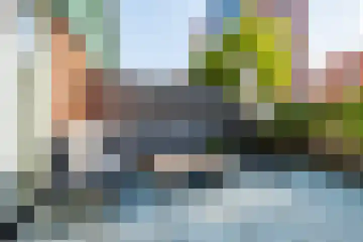 Vurehout 114 Zaandam thumbnail 5