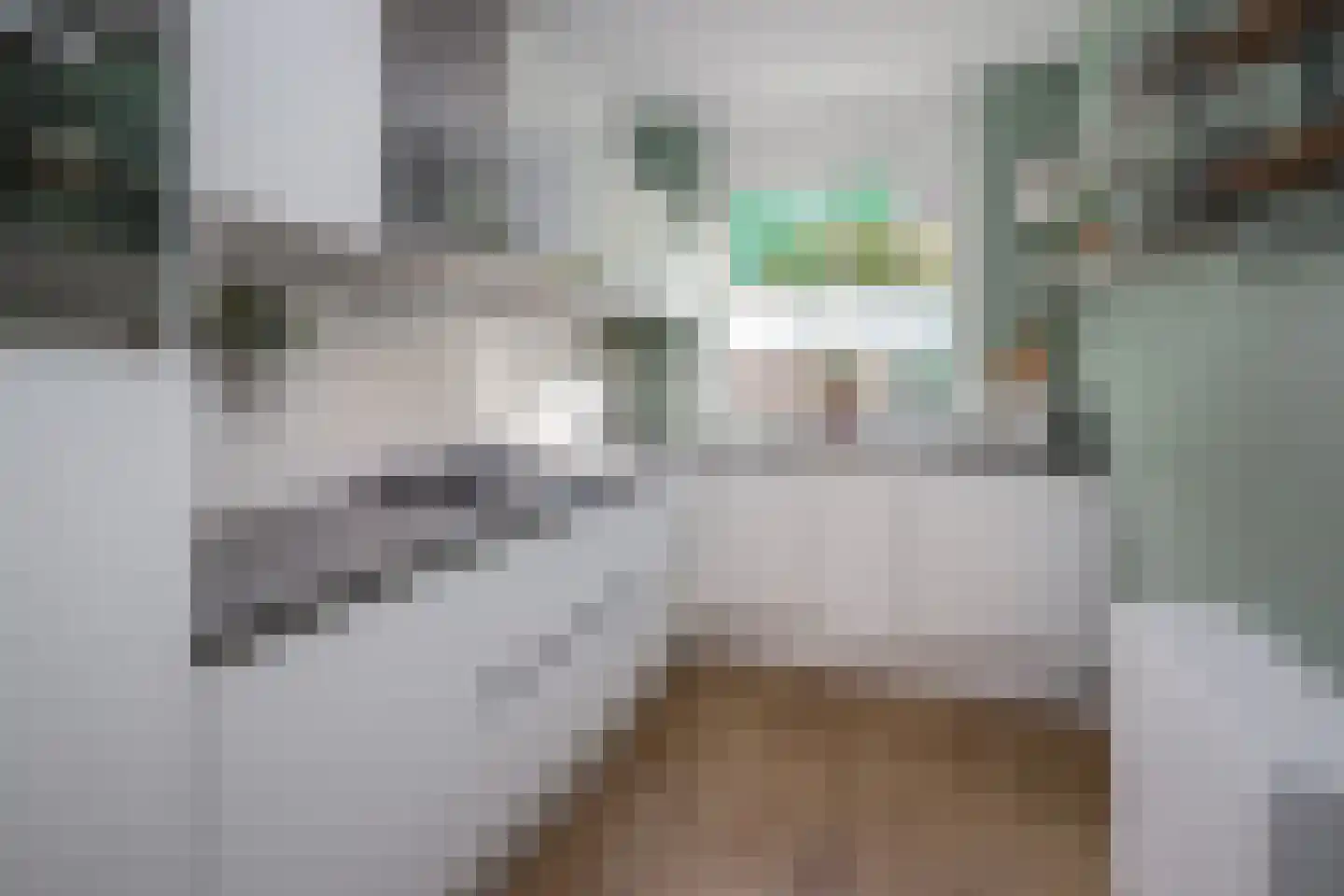 Vurehout 120 Zaandam thumbnail 12