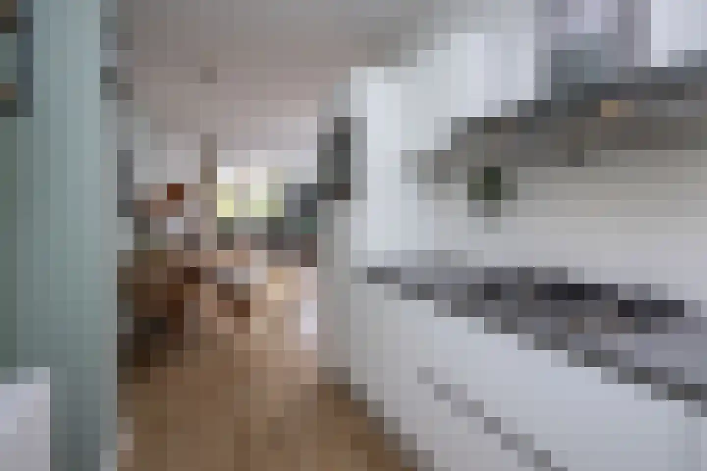 Vurehout 120 Zaandam thumbnail 13