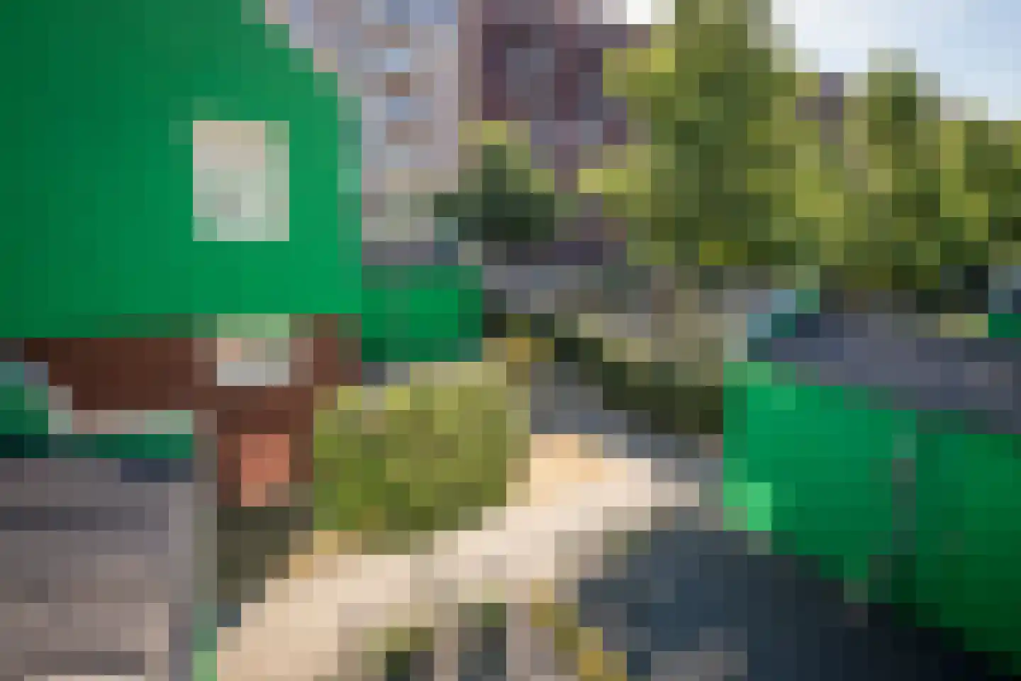 Vurehout 120 Zaandam thumbnail 20