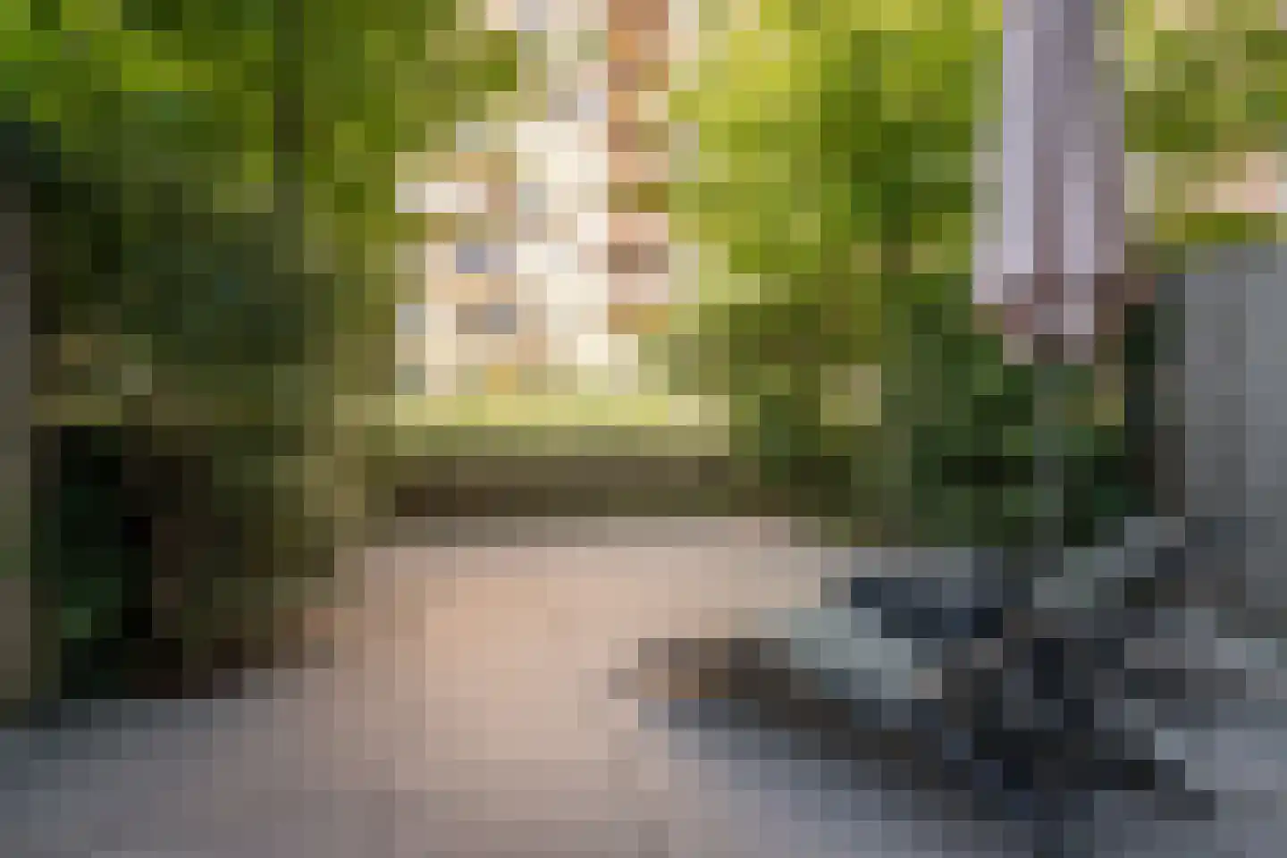 Vurehout 120 Zaandam thumbnail 29