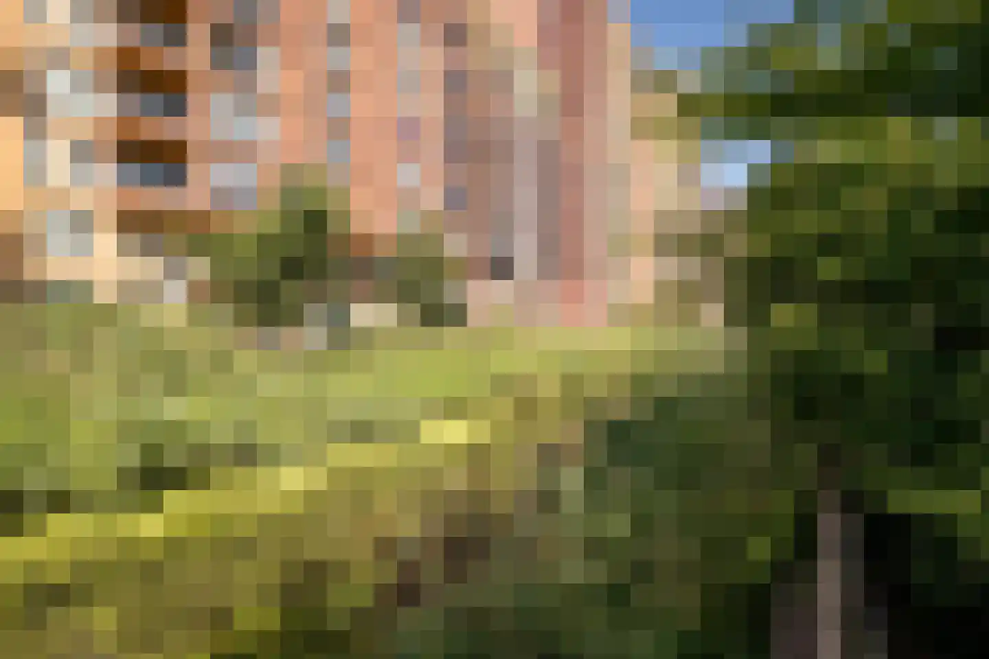 Vurehout 120 Zaandam thumbnail 30