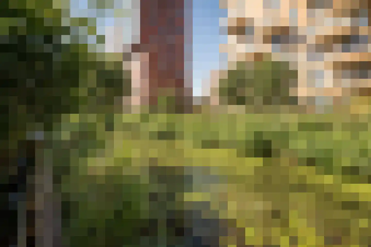 Vurehout 120 Zaandam thumbnail 31