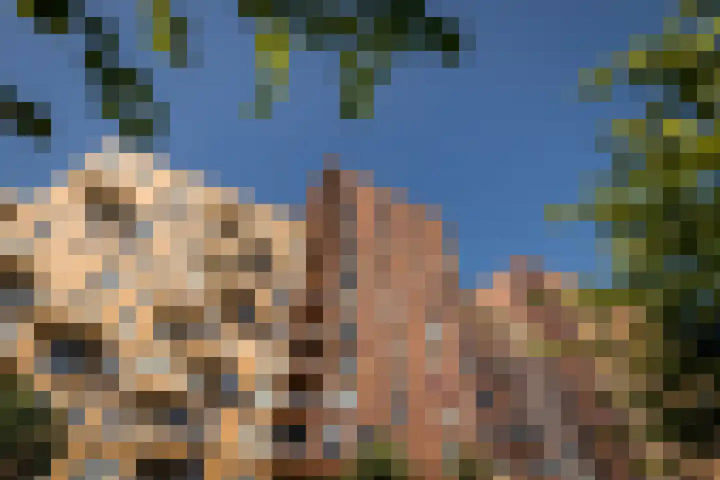 Vurehout 120 Zaandam thumbnail 32