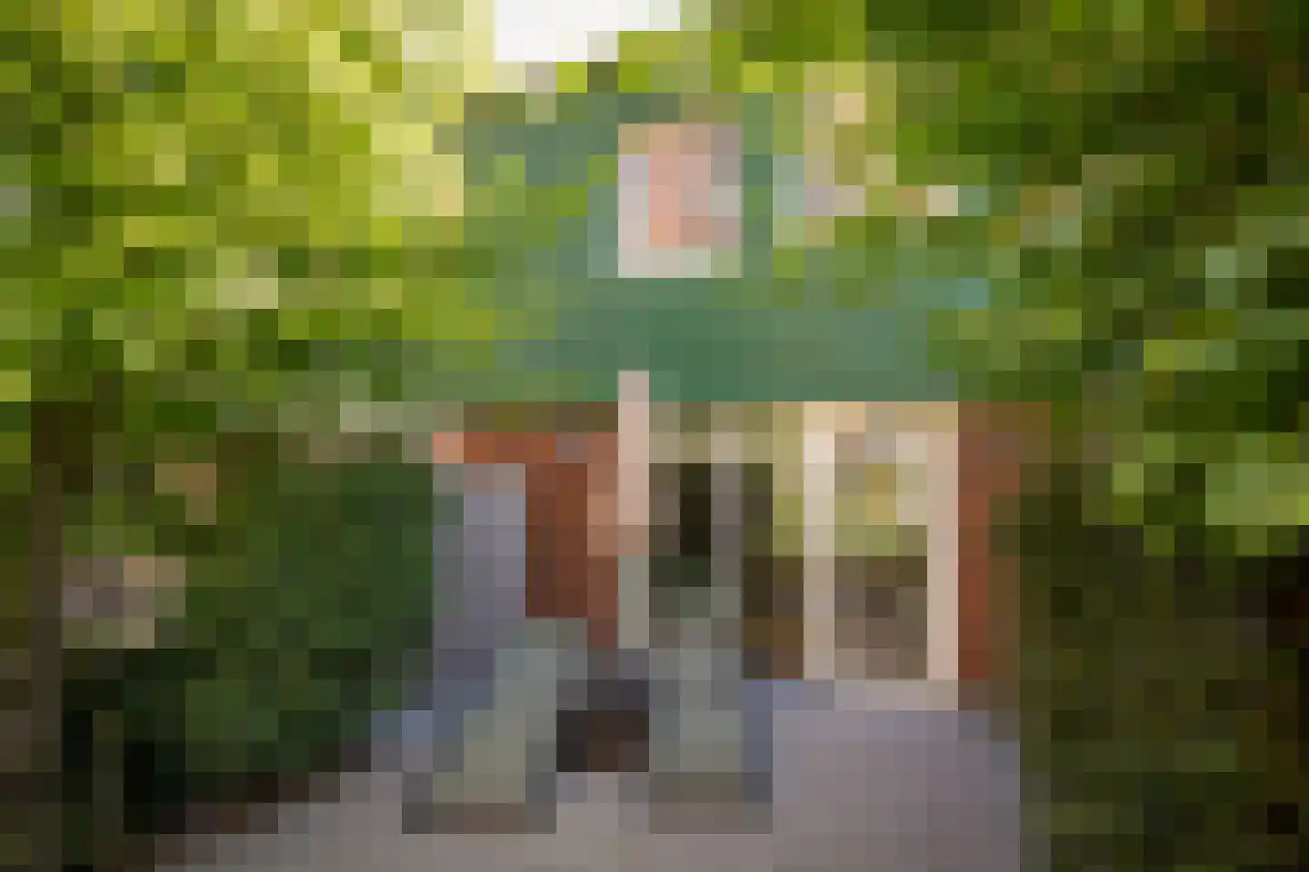 Vurehout 120 Zaandam thumbnail 33