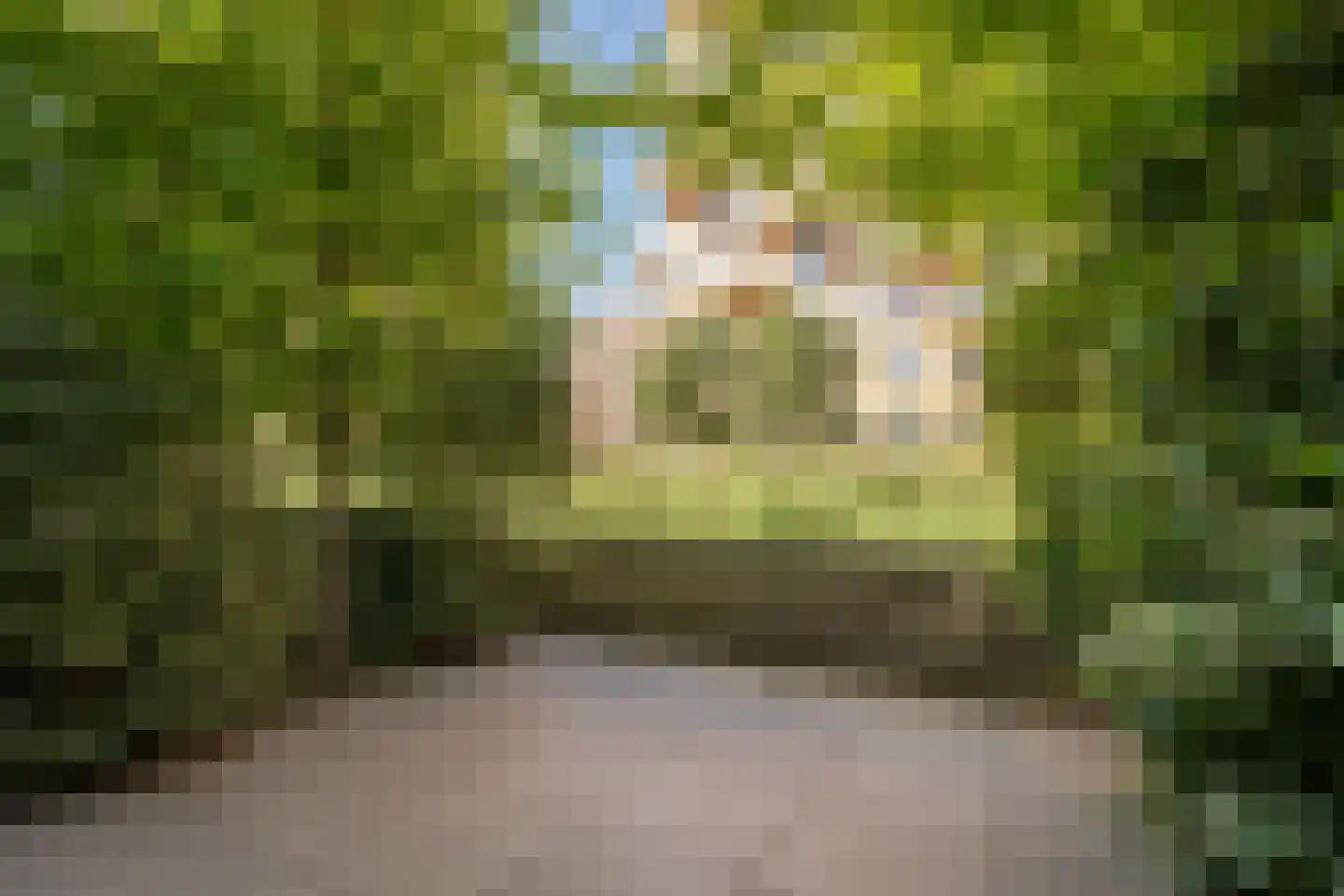 Vurehout 120 Zaandam thumbnail 35