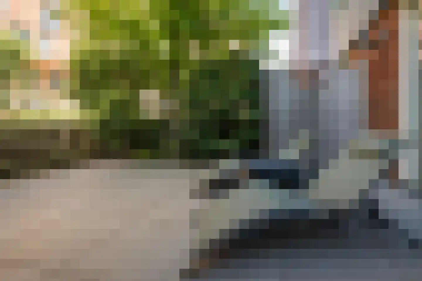 Vurehout 120 Zaandam thumbnail 36