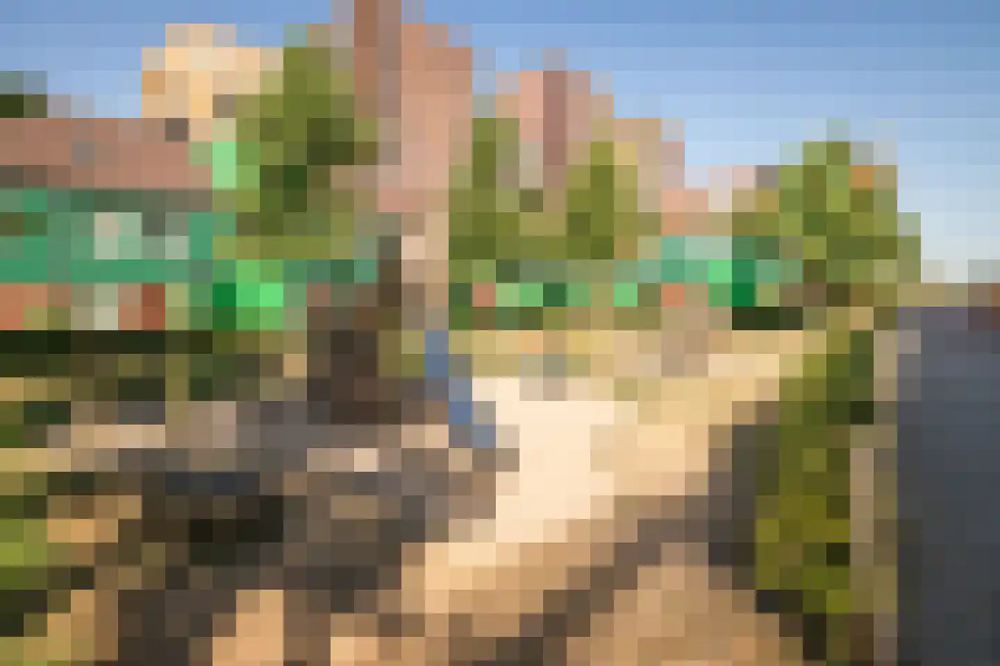 Vurehout 120 Zaandam thumbnail 39