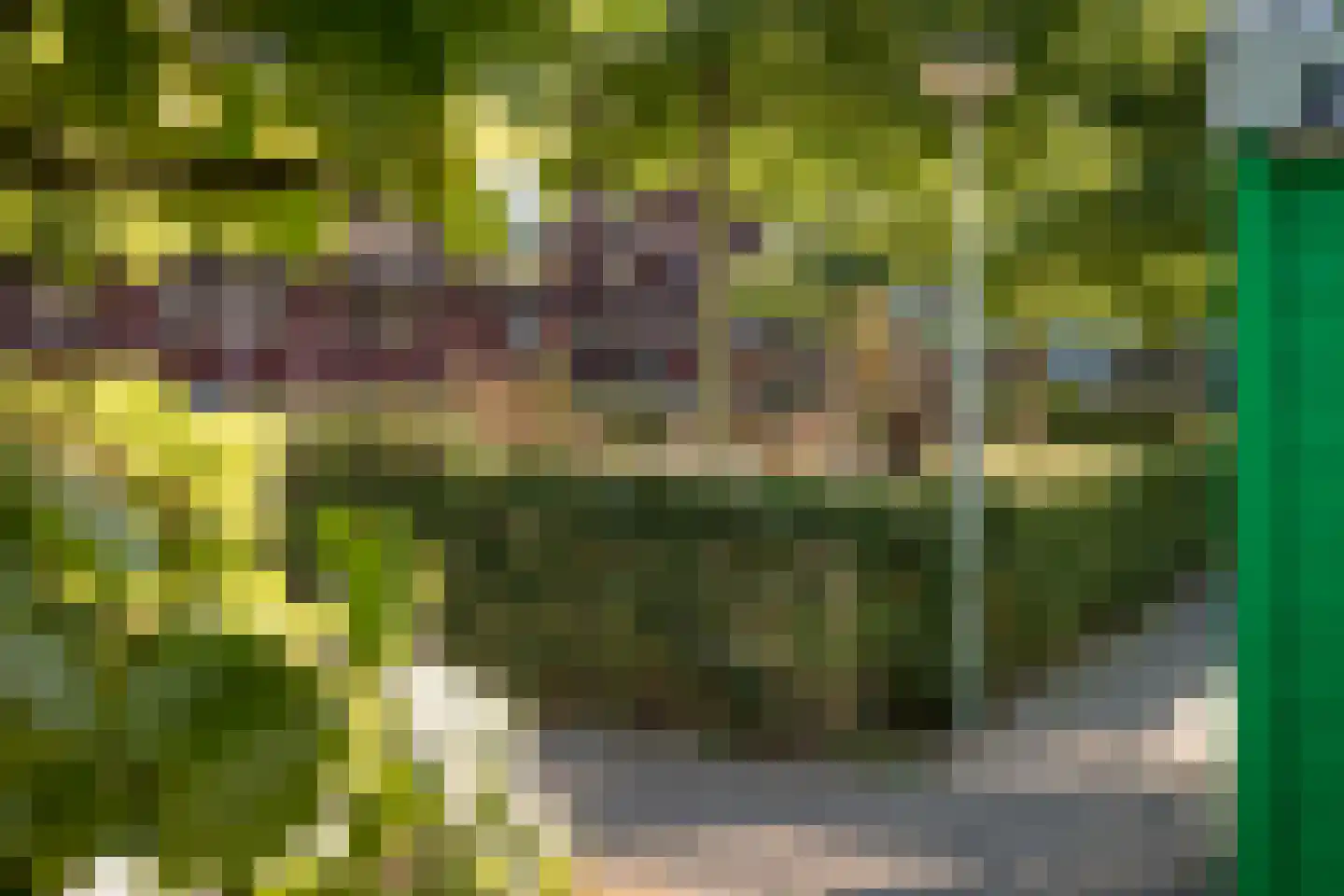 Vurehout 120 Zaandam thumbnail 4