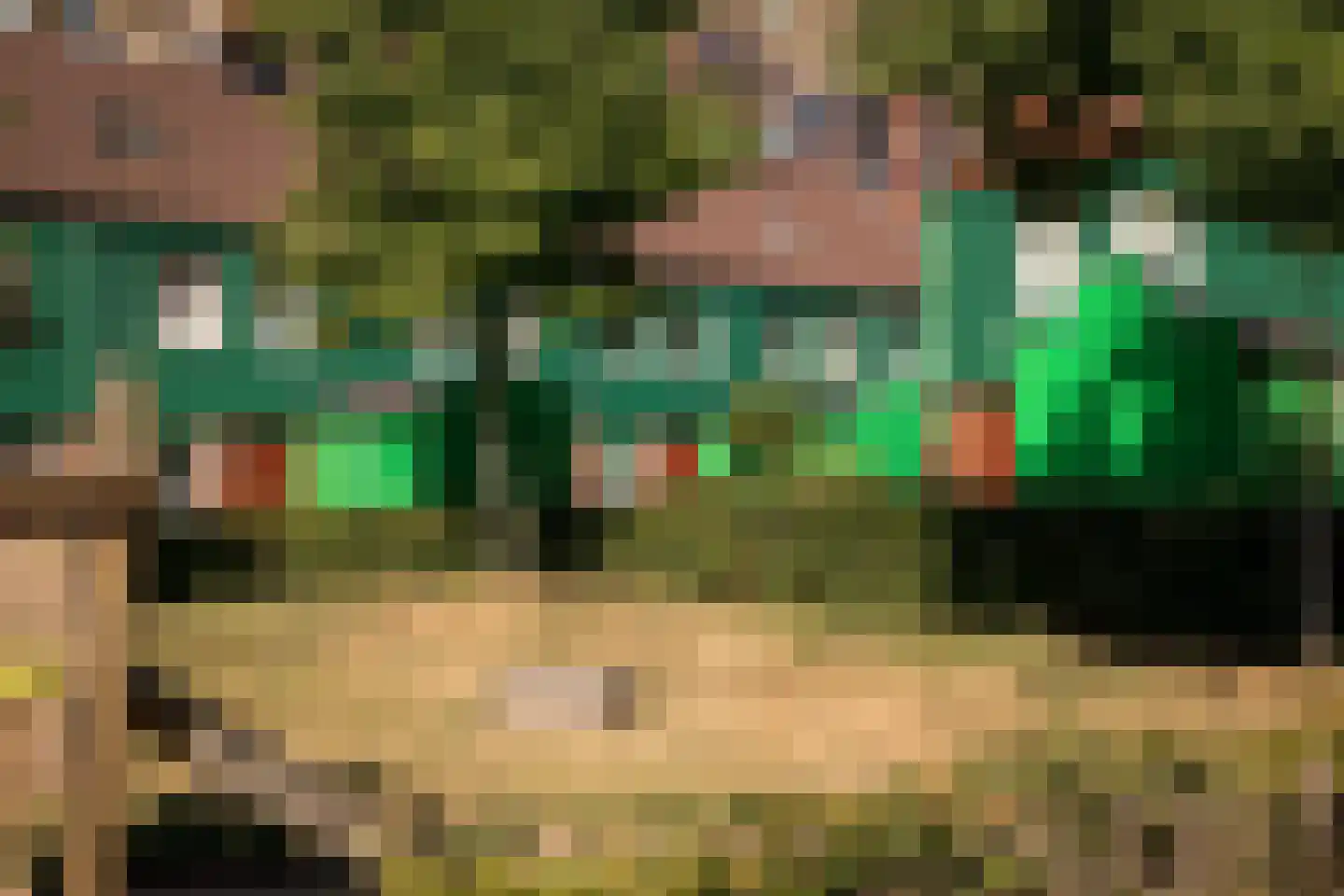 Vurehout 120 Zaandam thumbnail 40