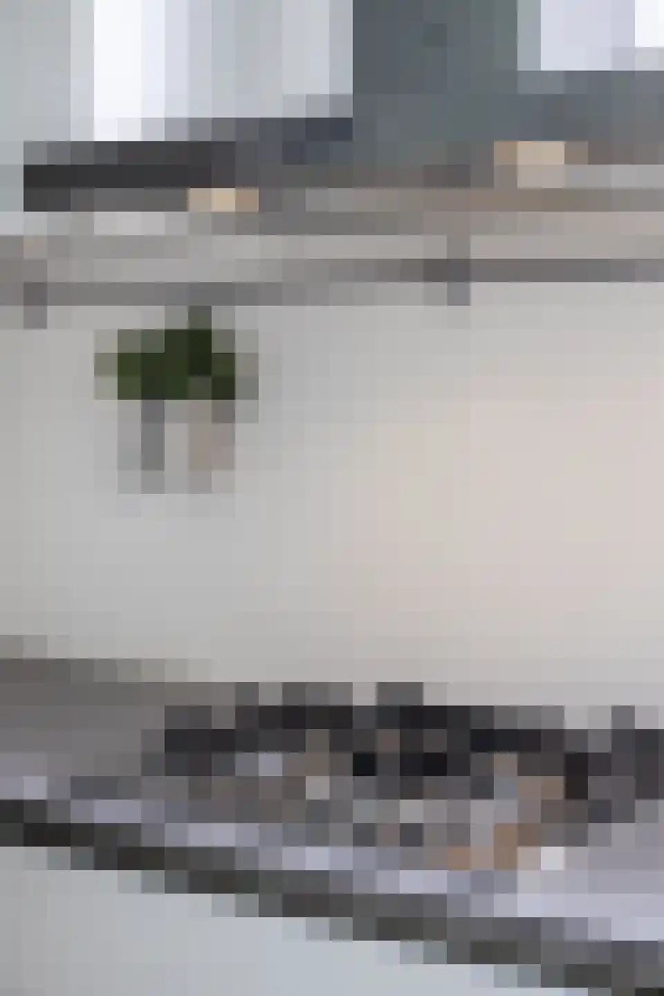 Vurehout 120 Zaandam thumbnail 51