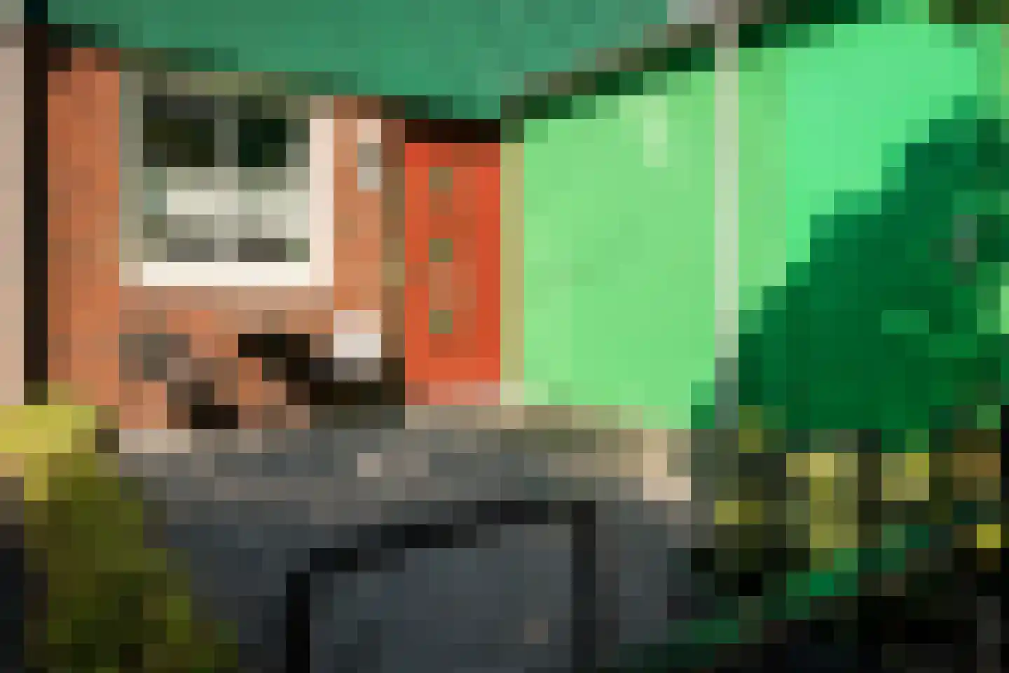 Vurehout 120 Zaandam thumbnail 6