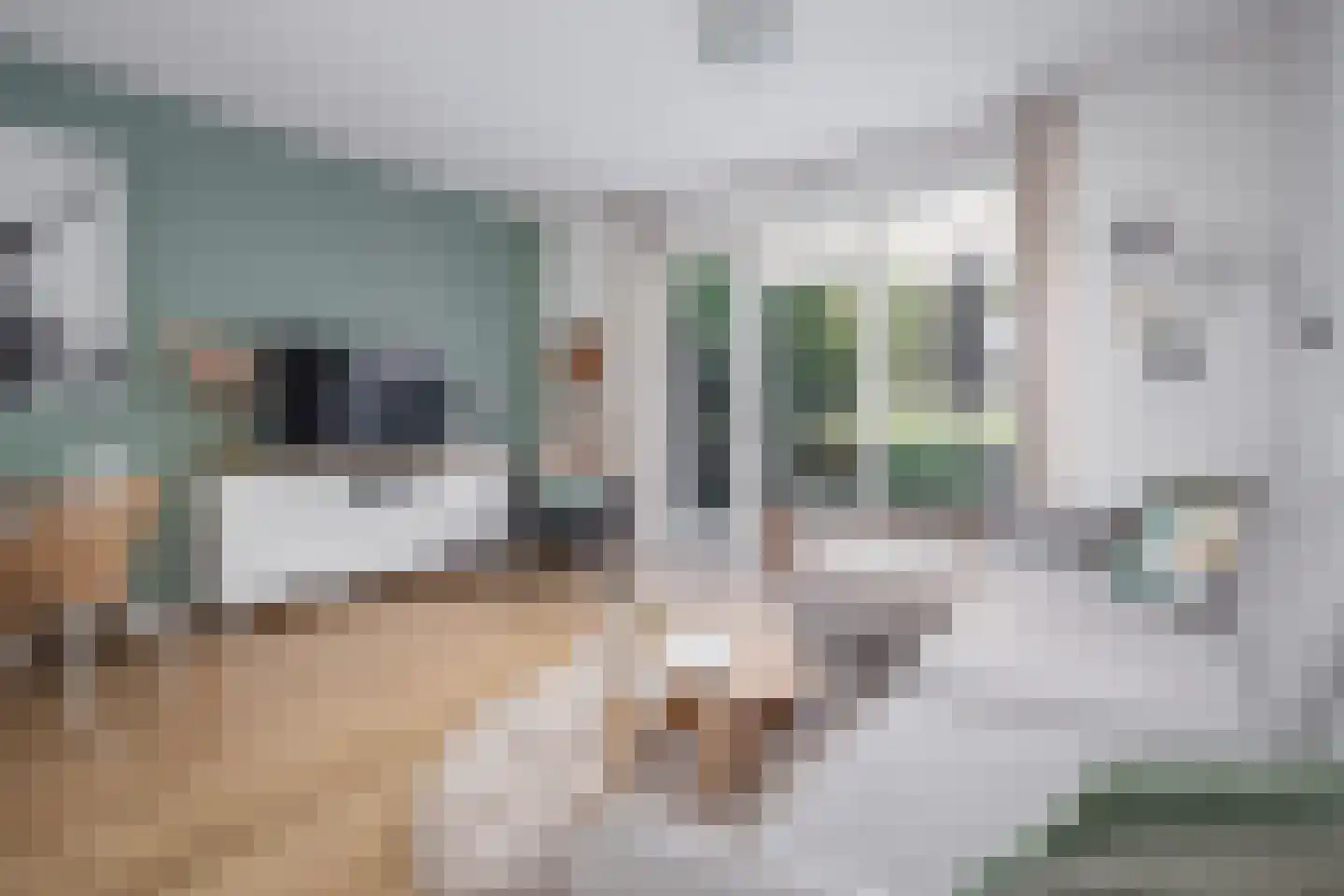 Vurehout 120 Zaandam thumbnail 9