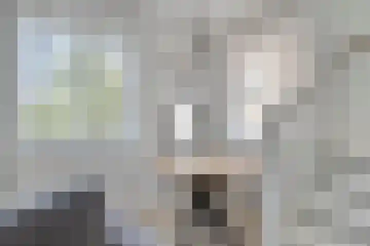 Vurehout 132 Zaandam thumbnail 16