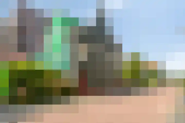Vurehout 132 Zaandam thumbnail 33