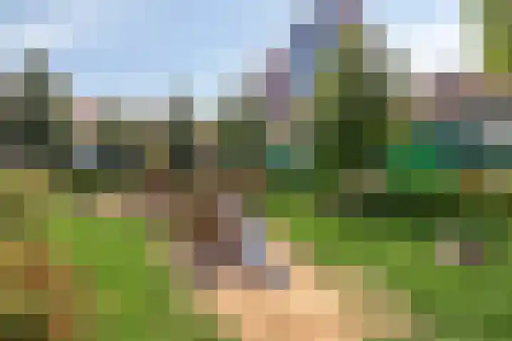 Vurehout 132 Zaandam thumbnail 34
