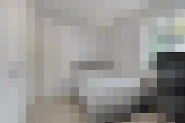 Vurehout 132 Zaandam thumbnail 6