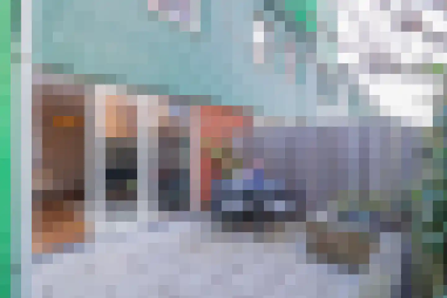 Vurehout 146 Zaandam thumbnail 15