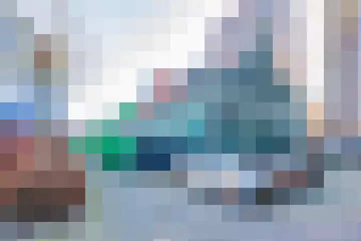 Vurehout 146 Zaandam thumbnail 36